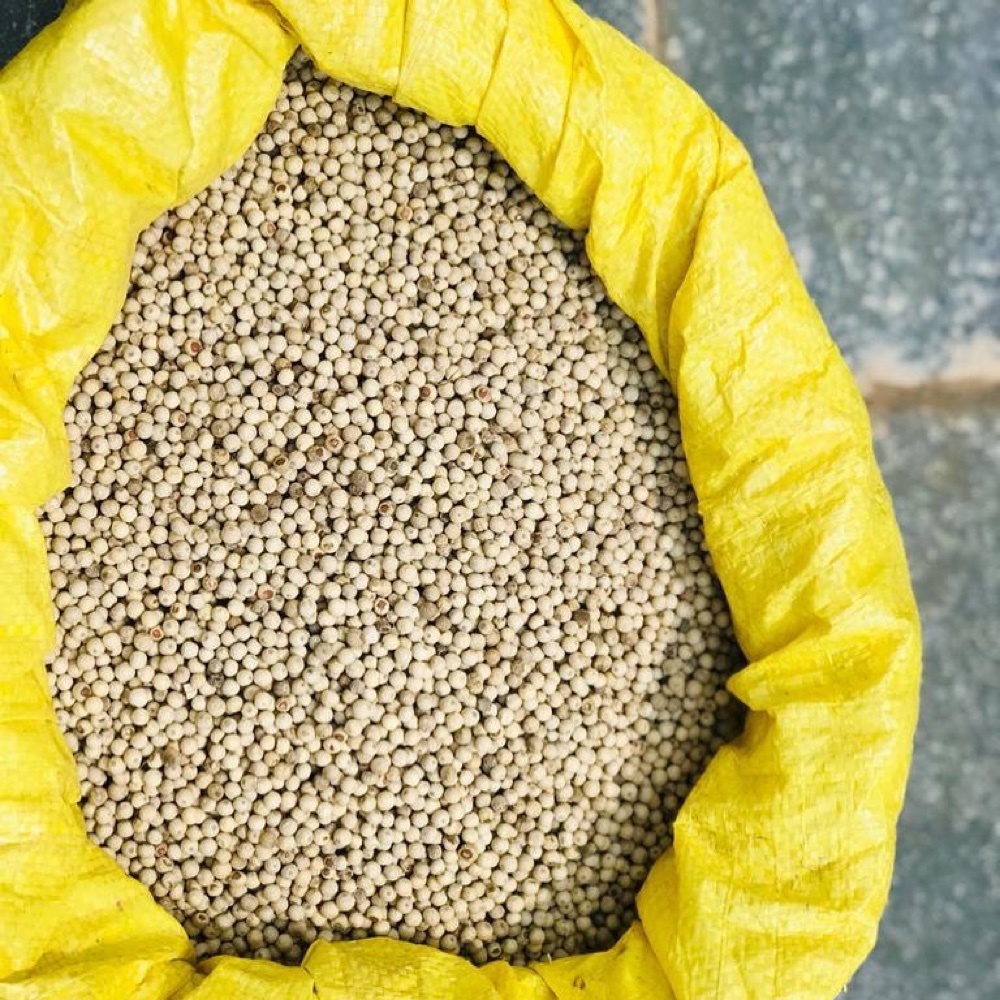 White pepper, sorted and ready for packing.